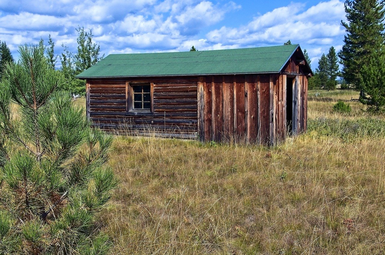 The Sad History of Homesteading | Jane Takes On History